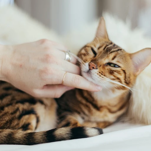 Strengthening Bonds with Cat-Themed Friendship Bracelets