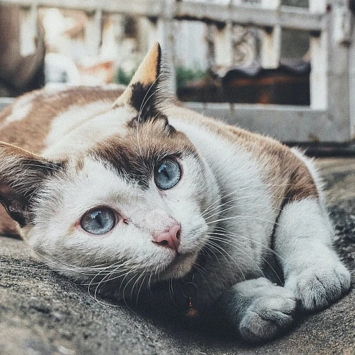 Charming Necklaces for Cat Moms