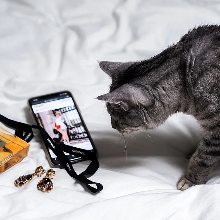 Exploring the Charm of Spiral Ring Jewelry for Cats