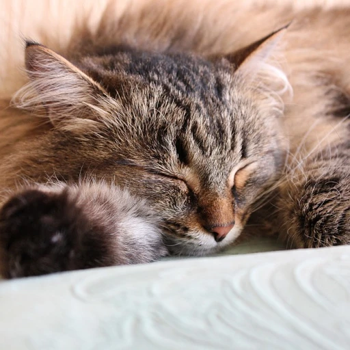 Embrace Harmony with a Peaceful Cat Necklace