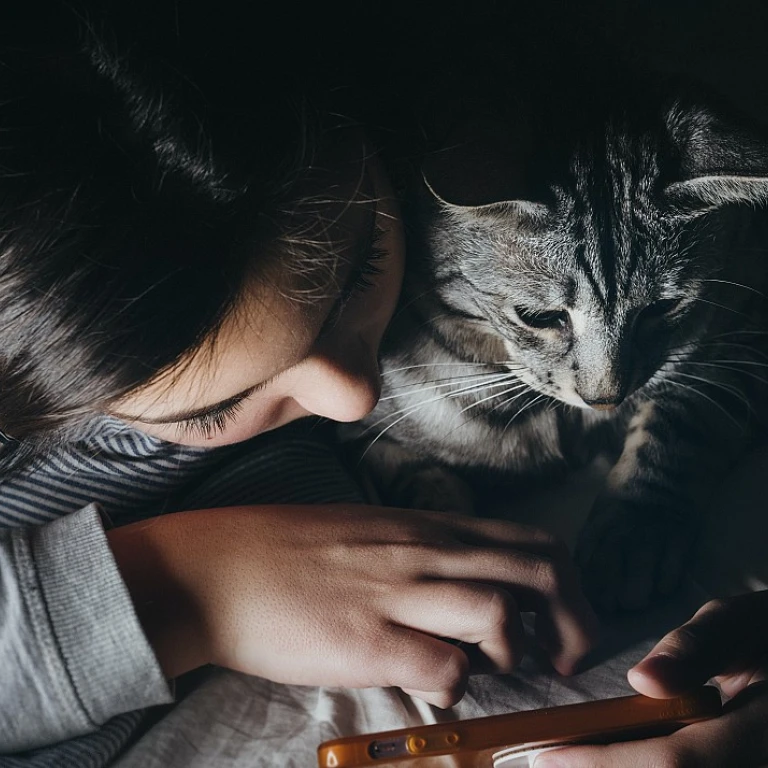 Embrace the Charm of Black Cat Jewelry