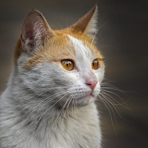 Embrace the Charm of Cat Silhouette Jewelry